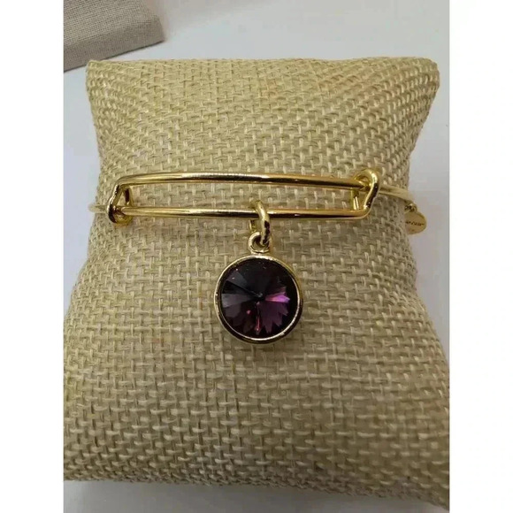 Alex And Ani February Birthstone Charm Bangle Amethyst Bracelet - Picture 3 of 4